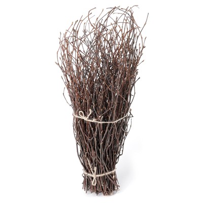 100 PCS Birch Twigs for Vase, 15-16 Inch Natural Dried Birch Branches, Craft ...