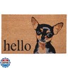 Calloway Mills 109451729 Black Tan Chihuahua Doormat 17