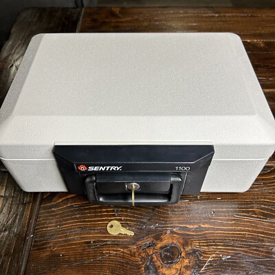 Sentry 1100 Portable Locking  Fire Proof Safe Box with Handle and 2 Keys