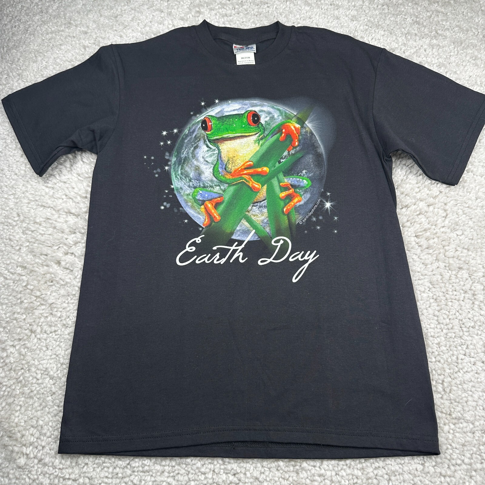 『DAI TEE EARTH GRAY L』 $_57.JPG?set_id=880000500F