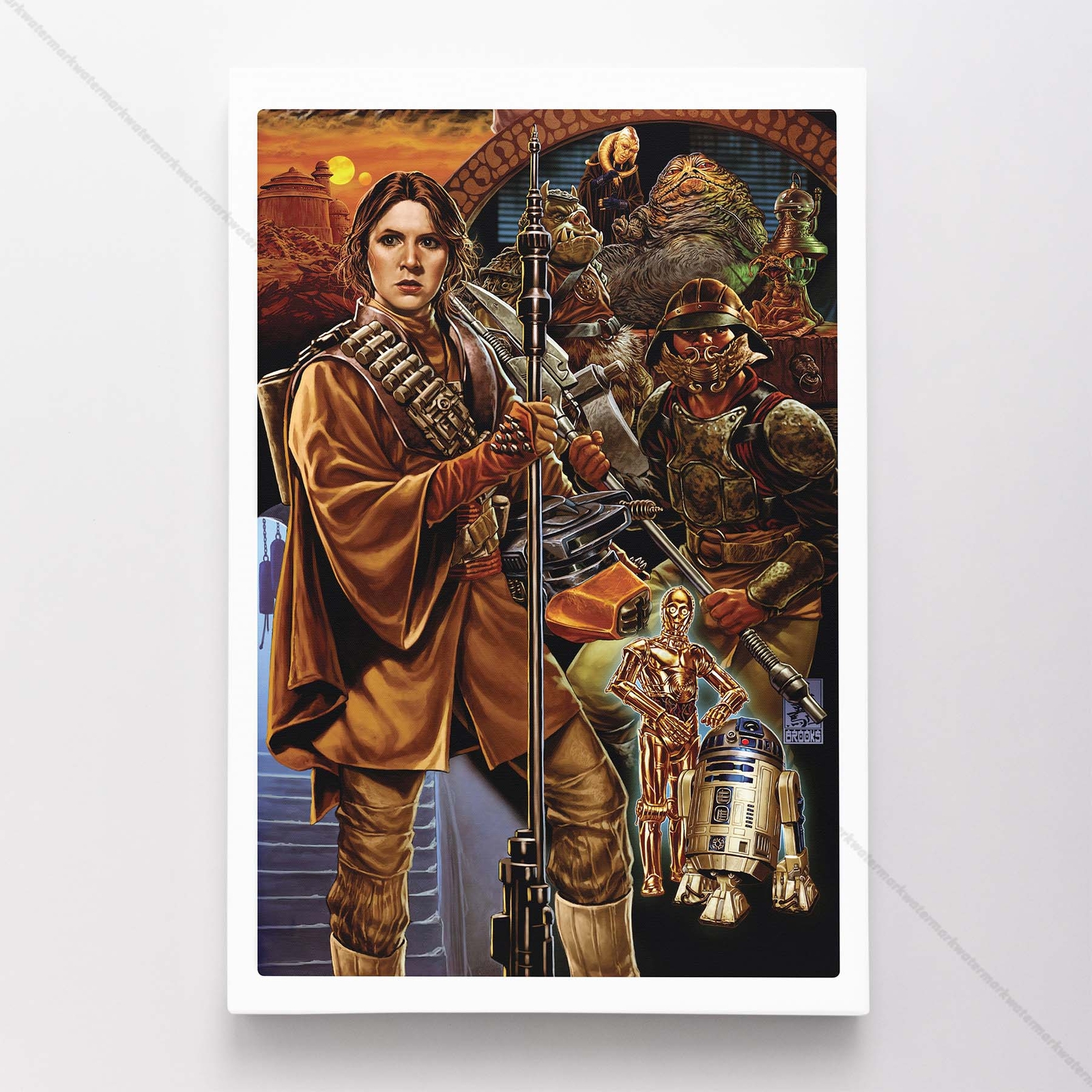 Princess Leia Star Wars Poster Canvas Movie Comic Art Print #153