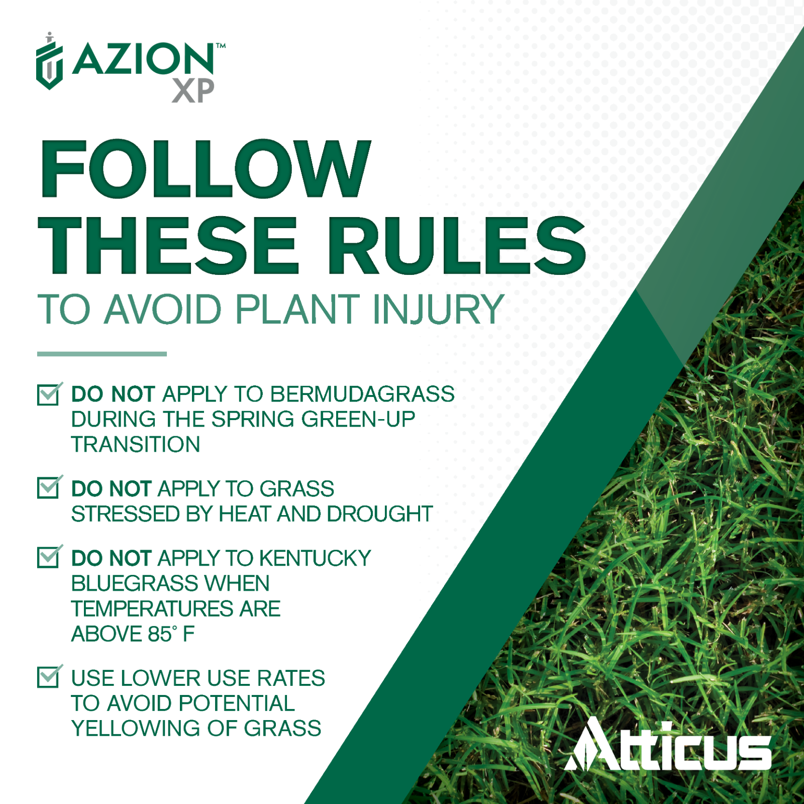 Azion XP Herbicide (8 oz) - Compare to Escort XP - MSM - Weed & Brush Control