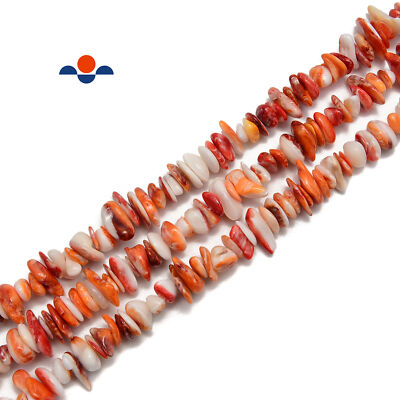 Spiny Oyster Chips Beads Size 8-10mm 15.5'' Strand (8-10mm)