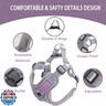 Medium Dog Harness and Leash Set,No Pull Adjustable Step in Soft Mesh Vest Harness,Easy Walk Reflective Pet Harness with Padded Handle for Walking Training Small Medium Large Dogs and Cats (Purple, M)