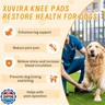 Xuvira Dog Knee Brace for Acl Injury Recovery, Adjustable, Provides Stable Support for Ligament Strain and Joint Pain, Fits Front or Rear Leg, Ideal for Rehab and Everyday Use, Durable, Comfortable, M