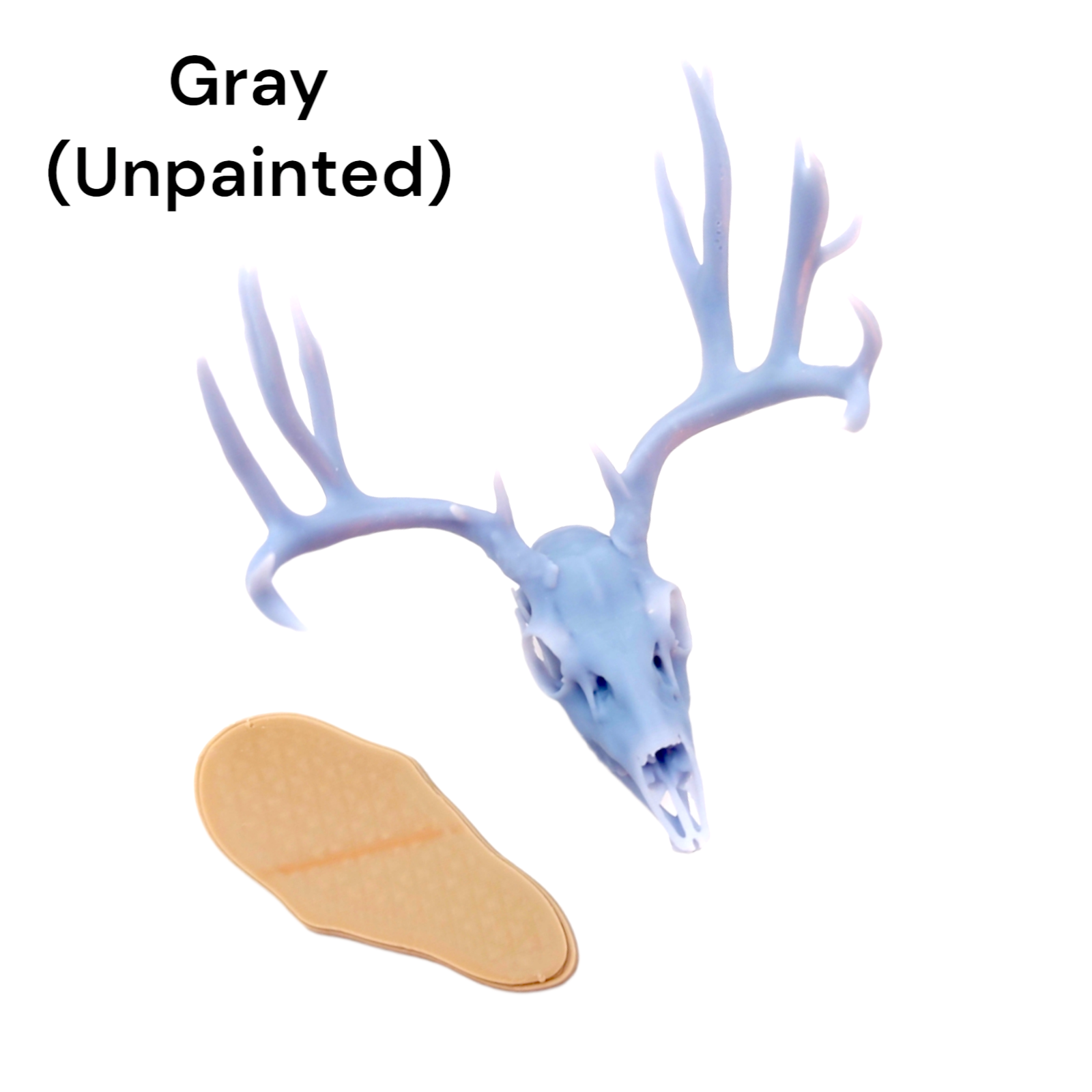 Mule deer skull 1:12 Scale Artisan Diorama Dollhouse Miniature Models 3d printed