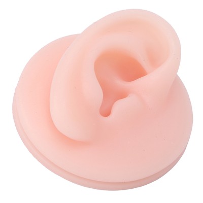 Professional Soft Silicone Ear Model Fake Ear Display Sample Ear Acupuncture