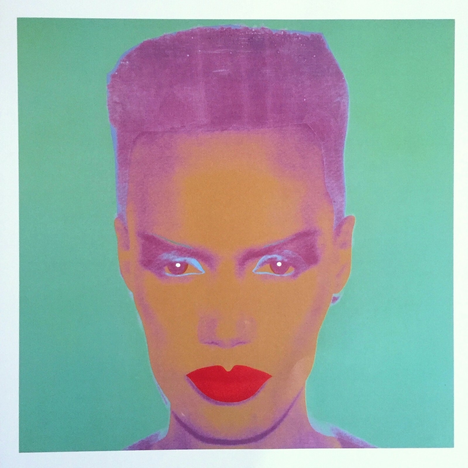 ANDY WARHOL FOUNDATION RARE 1993 COLLECTOR'S LITHOGRAPH