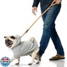 Pet Passion Rocky II - The Extra Comfy Hoodie, Organic Cotton and Recycled Poly Dog Hoodie Pet Coat Sweater for Small, Medium, Large Dogs​​, Black Sand Plaid, XX-Small