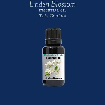 Linden Blossom Essential Oil | Tilia Cordata |.