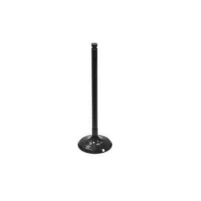 BRONCO ATV INTAKE VALVE