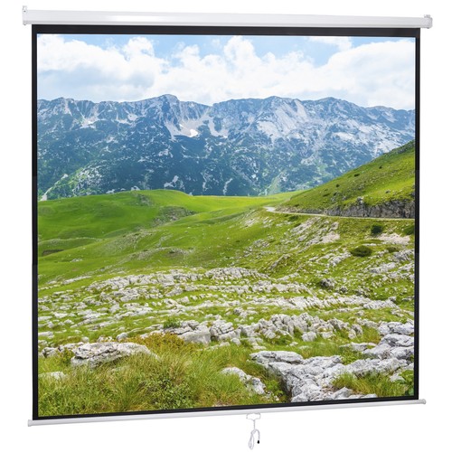 120'' Projector Screen Projection Screen Manual Pull Down HD Screen 1:1 Format