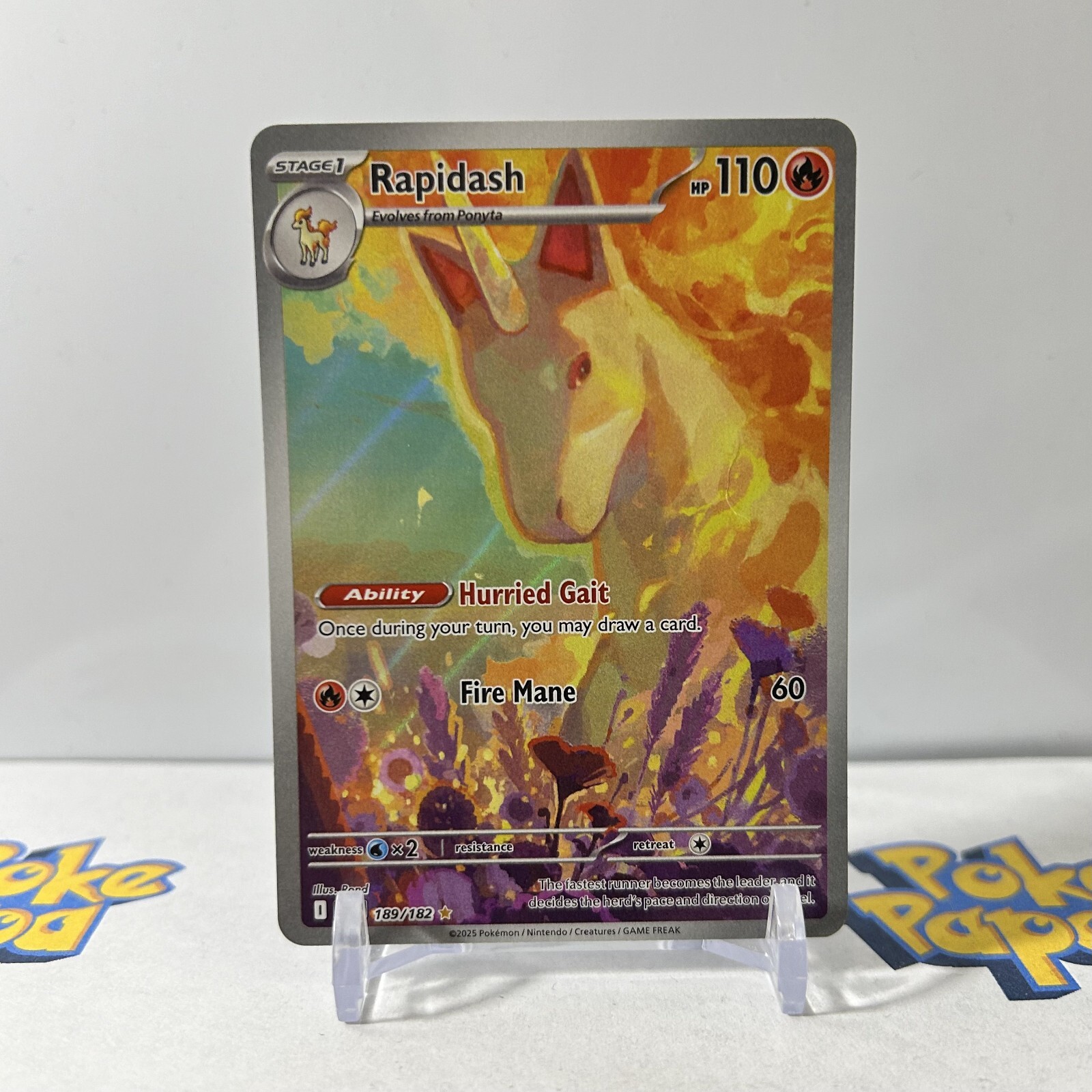 未開封　希少CALFORNIA COLECTABLE FORT Rapidash 189/182 Pokémon Destined Rivals Illustration Rare