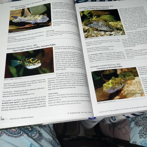 Artikelfoto(s) von einem verifizierten Käufer