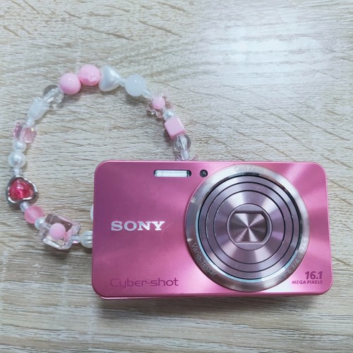 SONY Cyber-shot DSC-W570 16.1MP 5x Optical Zoom Digital Camera