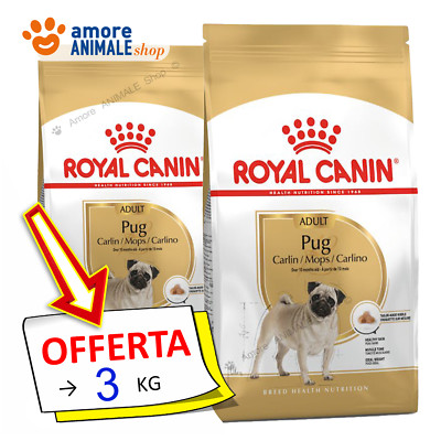 Royal Canin Dog → Adult, PUG ( CARLINO ) - 1,5 kg - Crocchette Cane, Per Cani