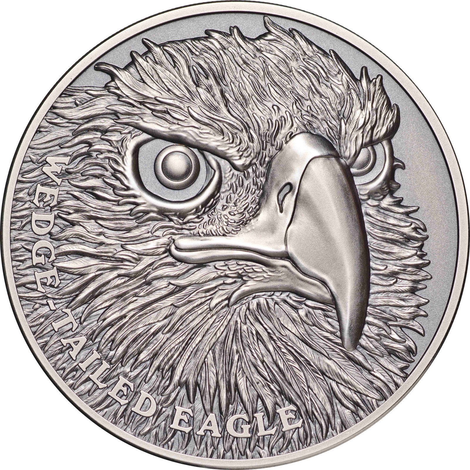 Value 1500  わんダービークルズ Niue 2019 Wedge-Tailed EAGLE Wildlife Up Close $1 1 Oz Pure
