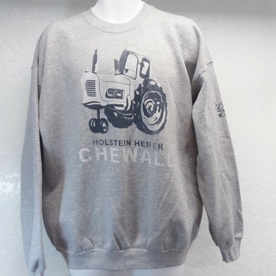 disney fire department shirt