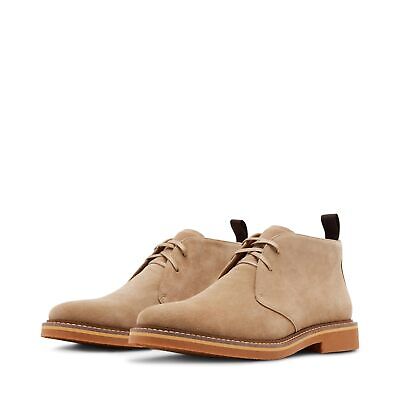 Мужские ботинки Steve Madden Palta