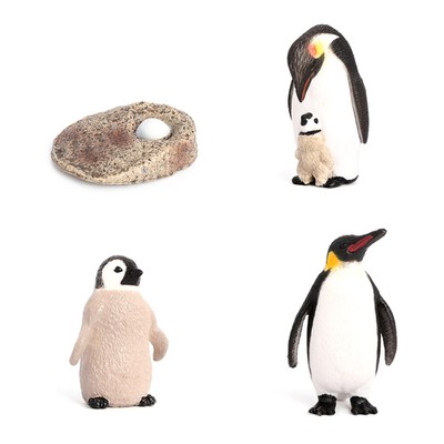 1set Penguin Model Anti-scratch Early Learning Penguin Growth Cycle Model A