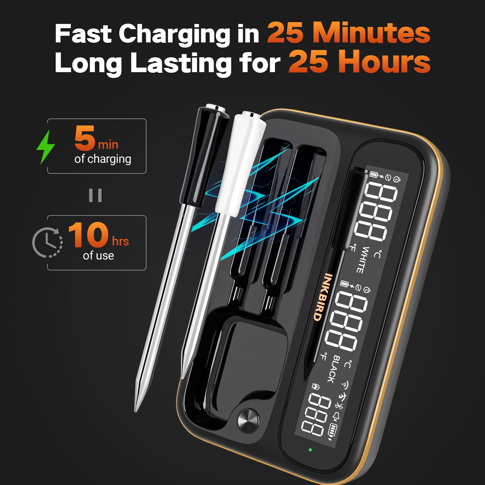 Wireless BBQ Meat Thermometer  WiFi 5G/2.4G Bluetooth 5.4v 80min Data Storage