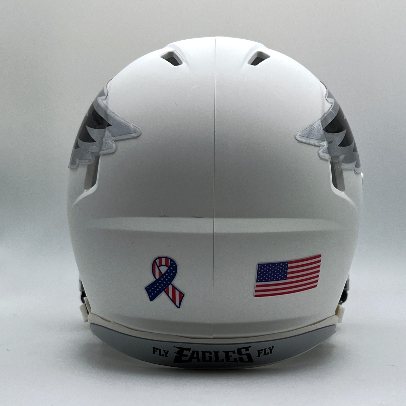 Philadelphia Eagles CUSTOM Matte White - Metallic Silver Mini Football Helmet