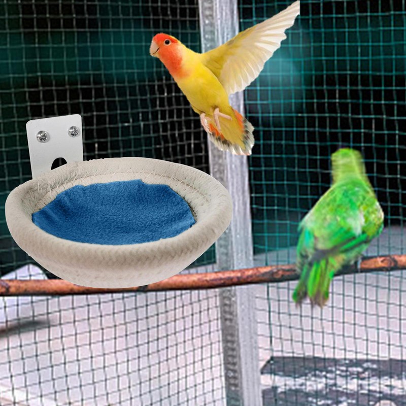 House Parakeet Nest Finch Canary