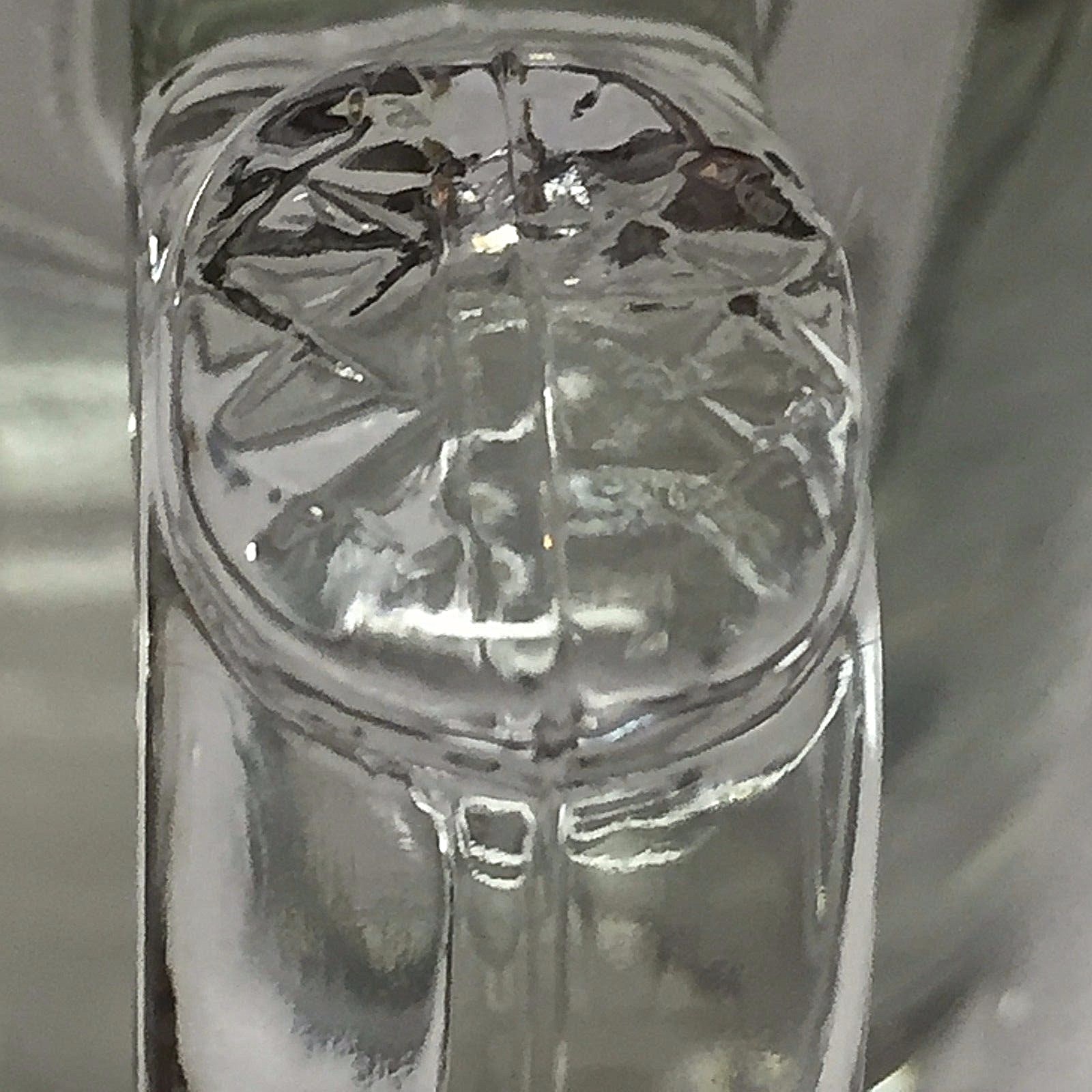 Hard Rock Cafe Beer Mug Glass Save The Planet Phoenix