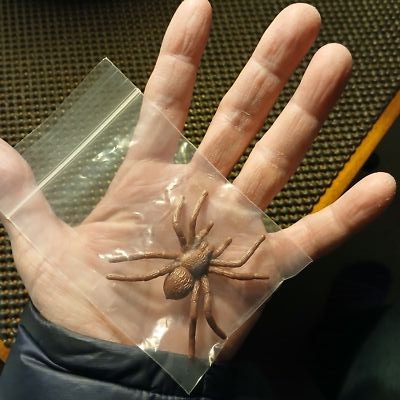 Artikelfoto(s) von einem verifizierten Käufer