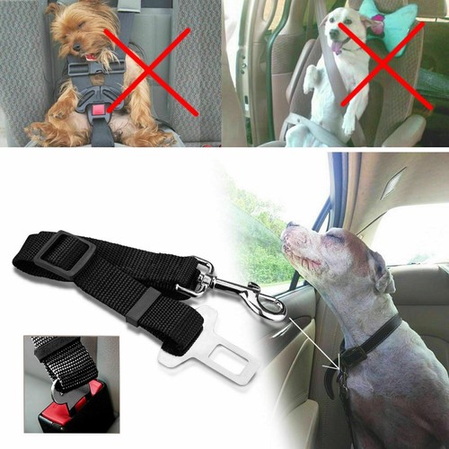 2× Pet Dog Seat Belt Adjustable Travel Car Safety Harnesses Lead Restraint USA