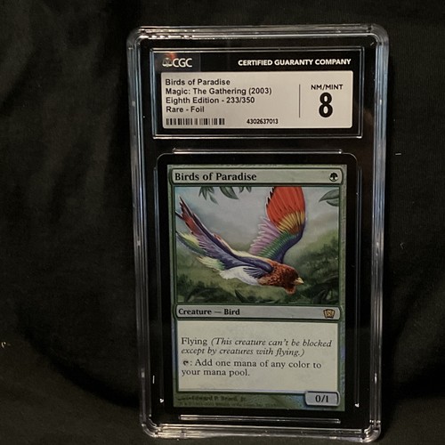 PSA9 MTG 英語　極楽鳥Birds of Paradise 8版　foil Birds of Paradise | 8th Edition | Star City Games