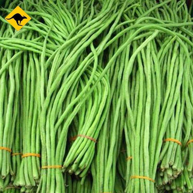 Cow Pea Seed - 10 To 200 Cowpea Seeds - Great For Poor Soils - Organic  ð«