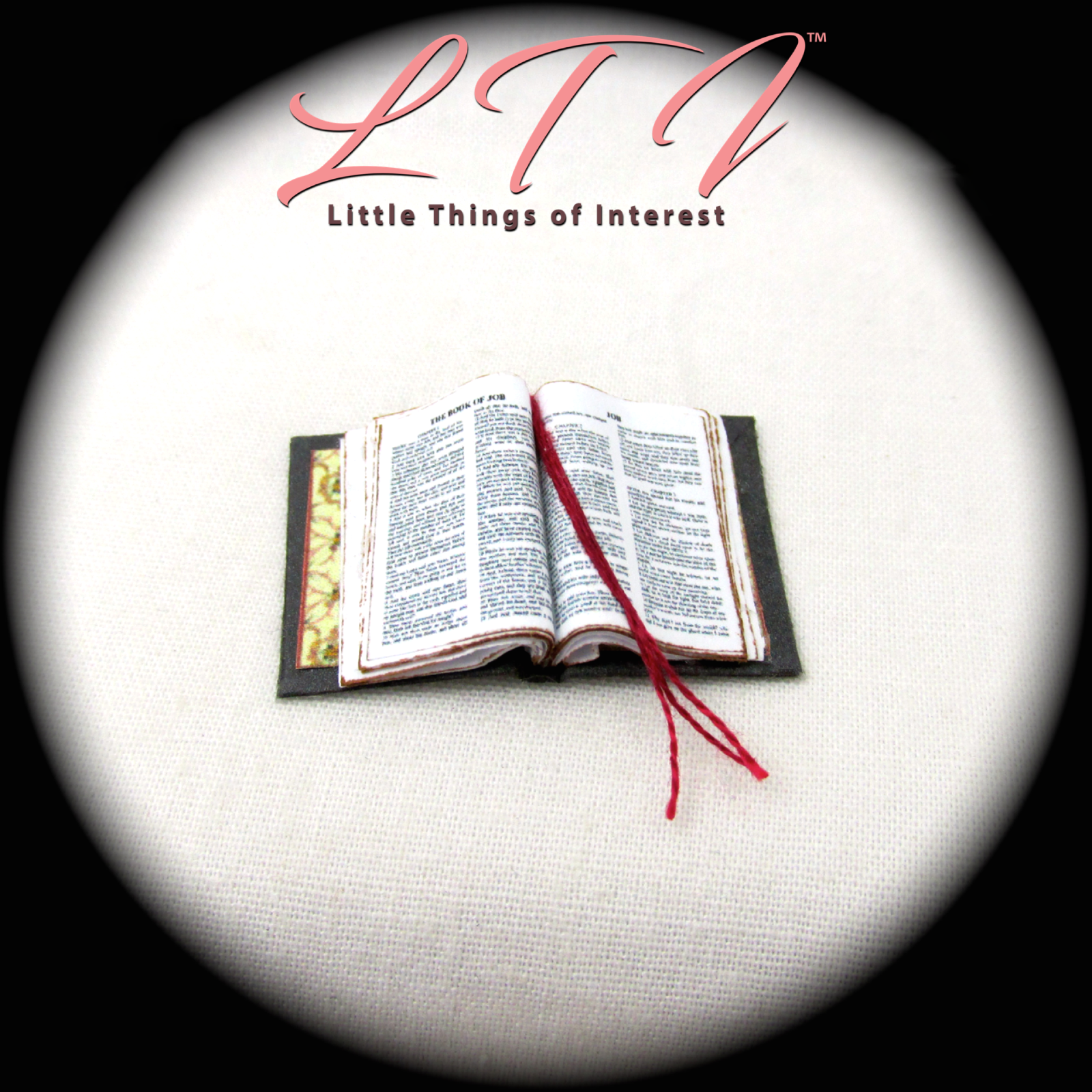 Open Book BIBLE Dollhouse Book Miniature Book 1:12 Scale Book 