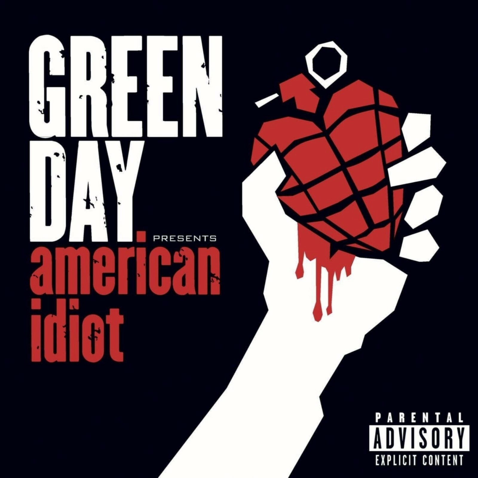 GREEN DAY American Idiot BANNER HUGE 4X4 Ft Fabric Poster Tapestry