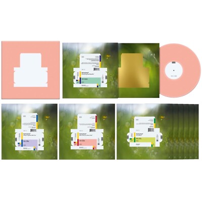 Spiritualized - Everything Was Beautiful LP Deluxe Edition Box Set LIMITED ED