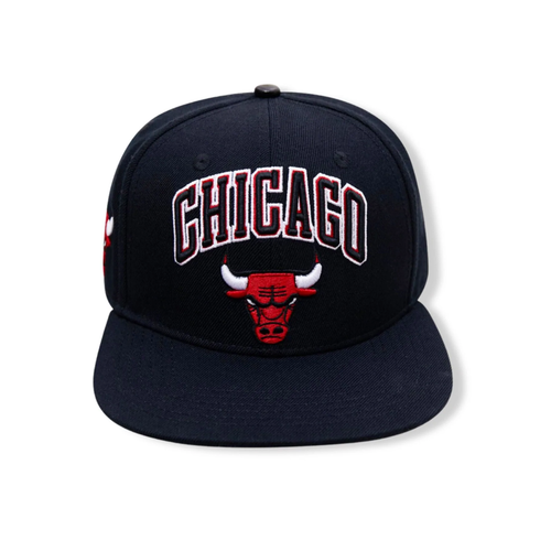 Мужская кепка Snapback с логотипом Pro Standard черного цвета Chicago Bulls — OSFA