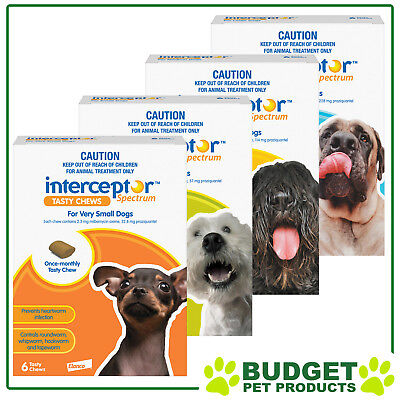 Interceptor Spectrum For Dogs 6 chews - All Sizes