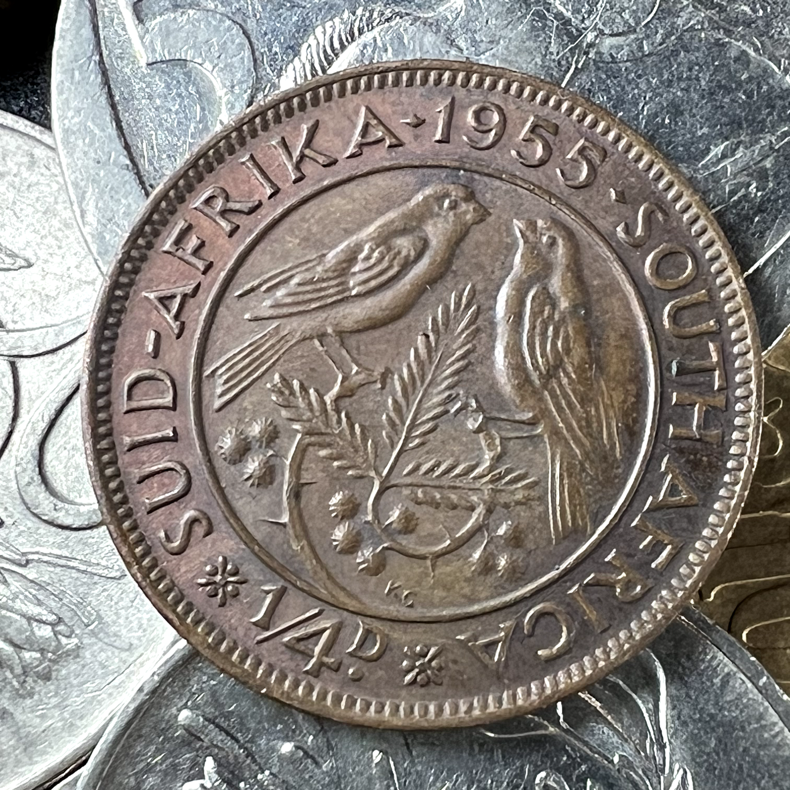 South Africa Coin | 1 Random Collectible Old South African Coin