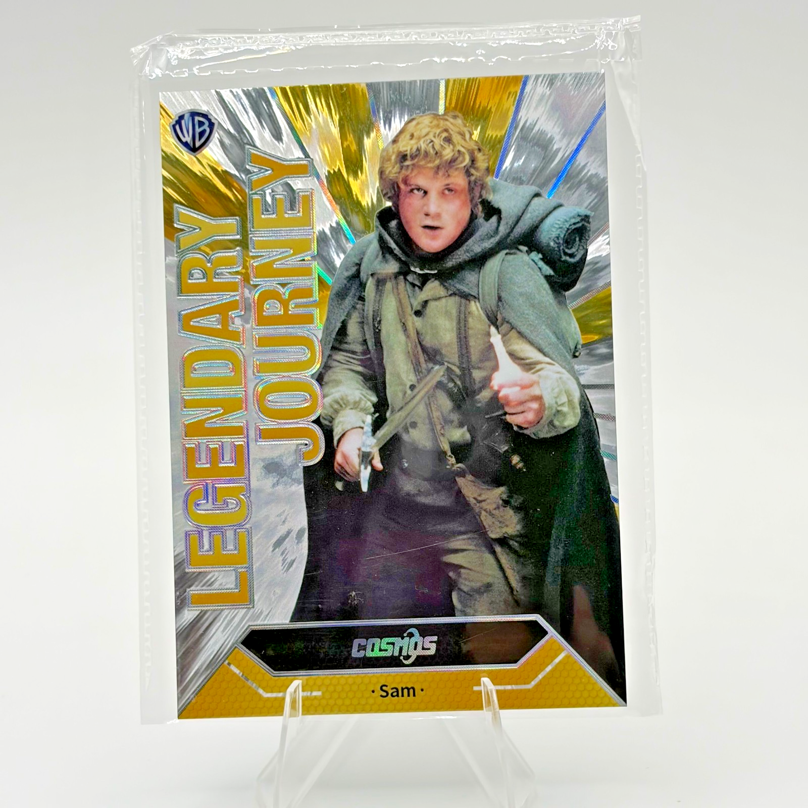Samwise Lord of the Rings The Hobbit Spirit 2024 Kakawow Cosmos WB 100 CWQ-DS-58
