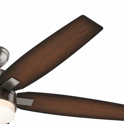 Hunter 59039 Windemere 54 in. Indoor Ceiling Fan with Light and Remote - Brushed
