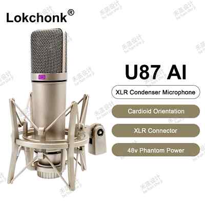Condenser Microphone Professional Cardioid Studio Mic for Recording Podcasting