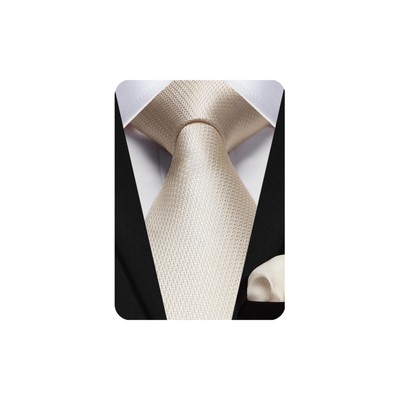 Champagne Ties for Men Solid Plaid Beige Tie with Pocket Square Set Formal Me...