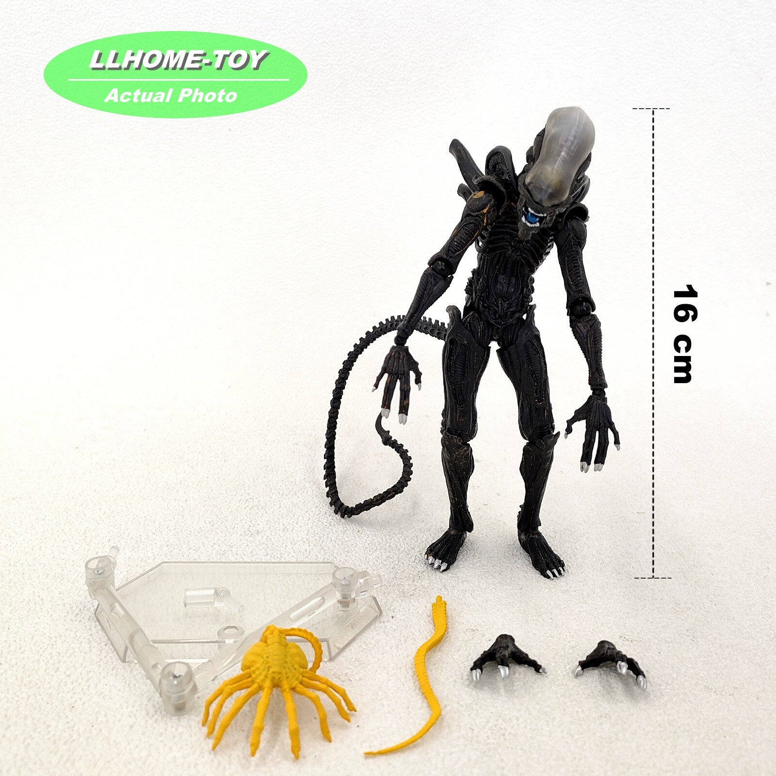 _57.JPG?set_id=880000500F