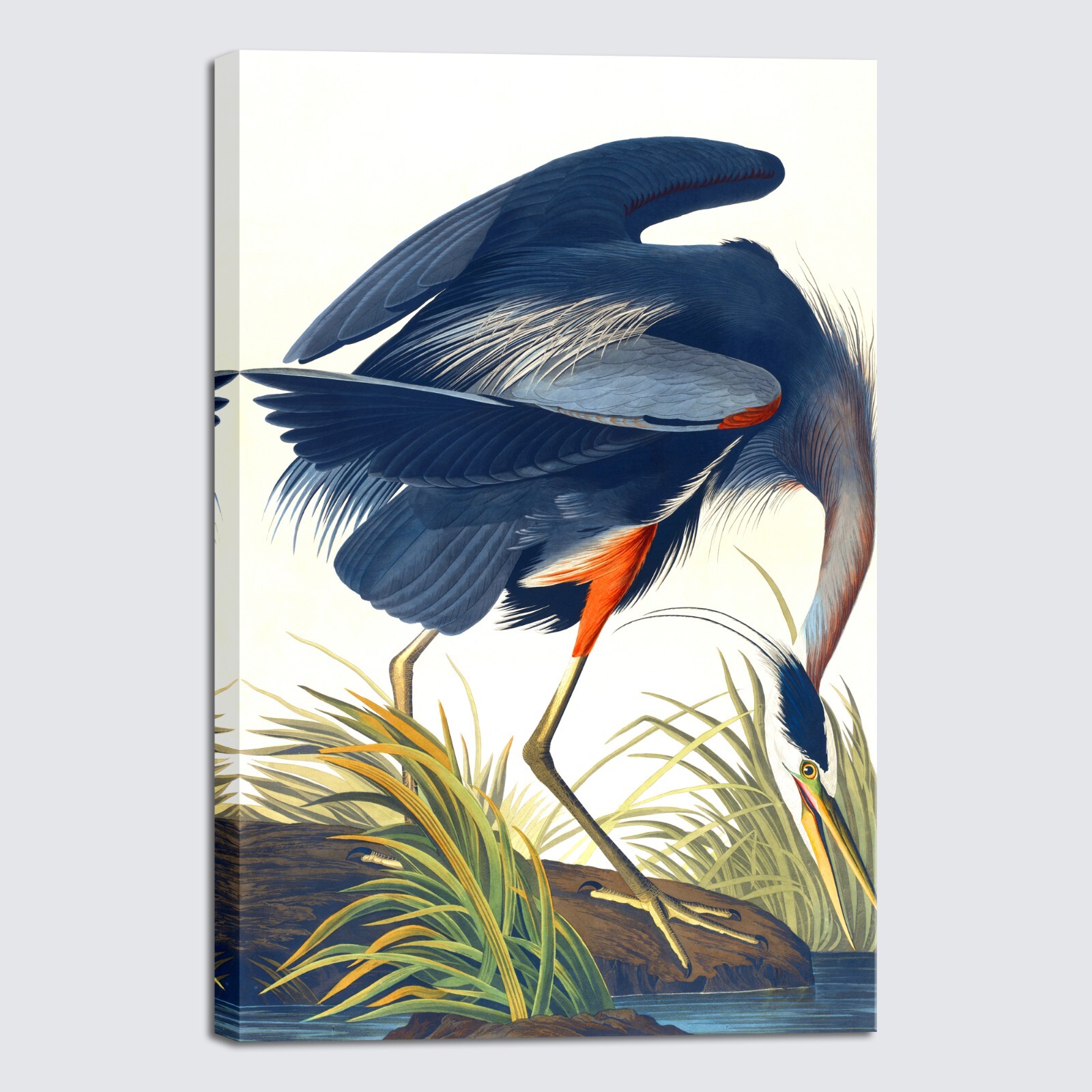 Johann × BOTANIZE Canvas on giclee Johann × BOTANIZE 「btnz-2」 Paper on giclee