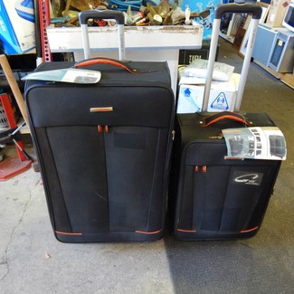 protocol centennial 3.0 21 inch spinner luggage