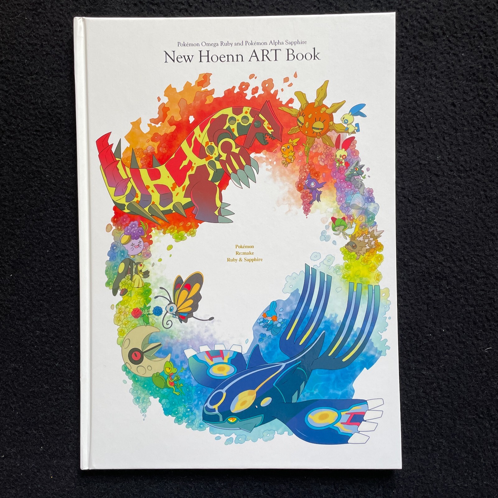 ポケモン New Hoenn ART Book ニューホウエンアートブック