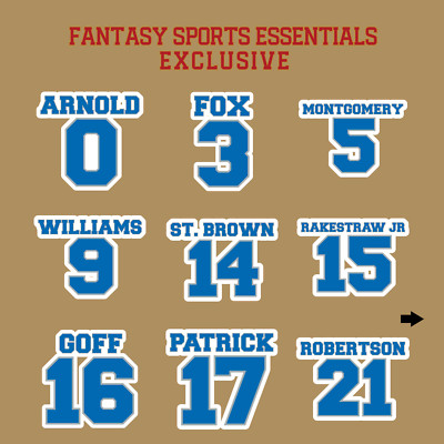 Detroit Lions 2024 Name and Number Stickers
