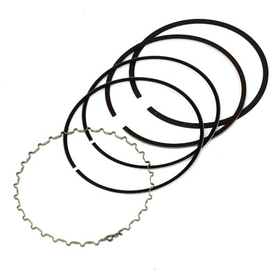 Piston Ring for Kawasaki Lakota 300 KEF300A Kef 300A Kef 300 A 1995-2000
