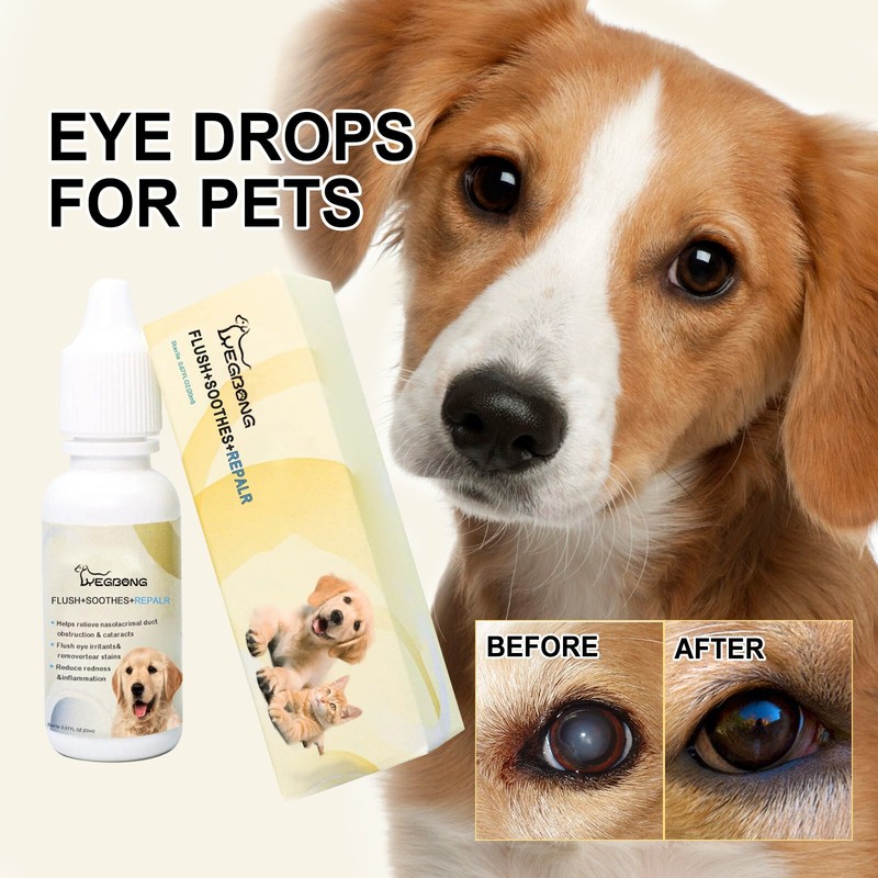 For Conjunctivitis Caused By Allergies Or Foreign Bodies