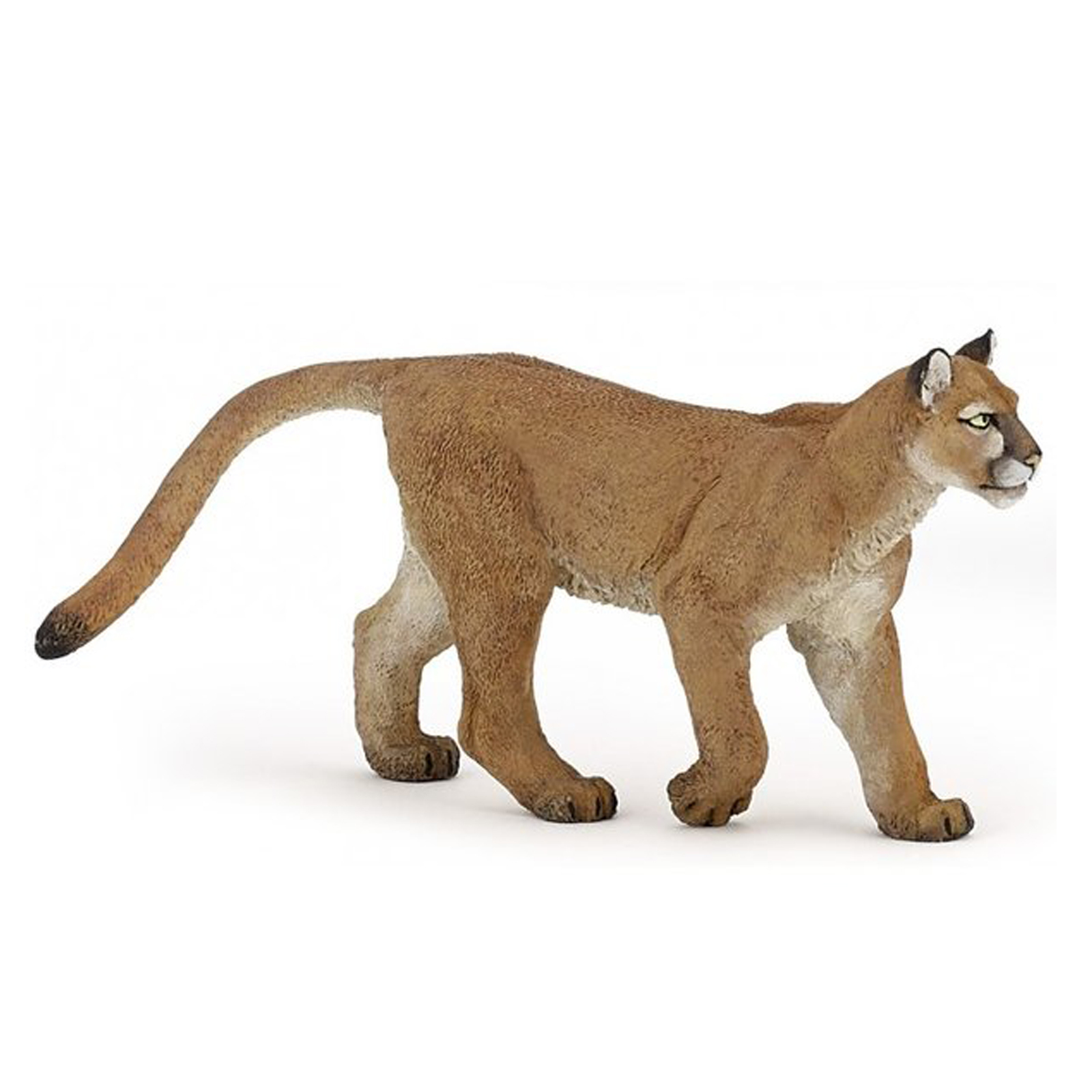 Шляйх лев эксклюзив. Папо папо песня. Африканский слон collecta. Фигурка 55022 смилодон papo. Пума papo 50046.